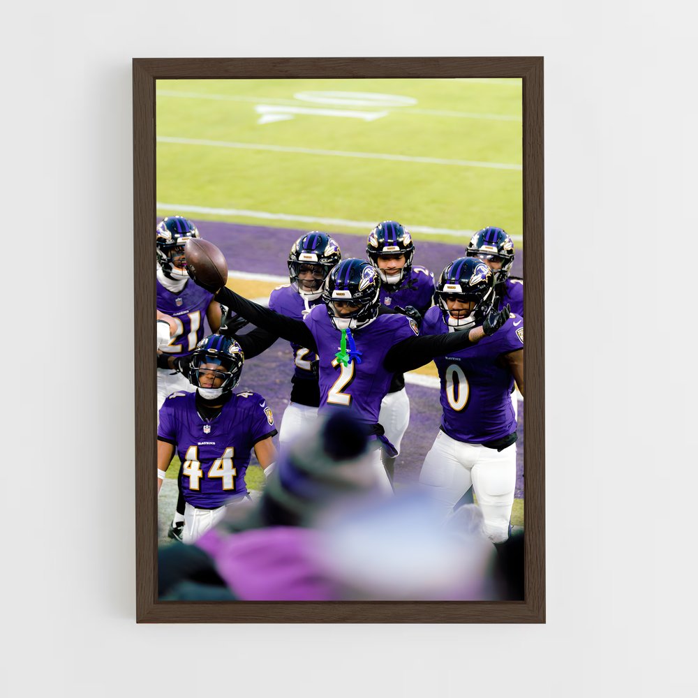 Poster Esprit Raven (vue 5)